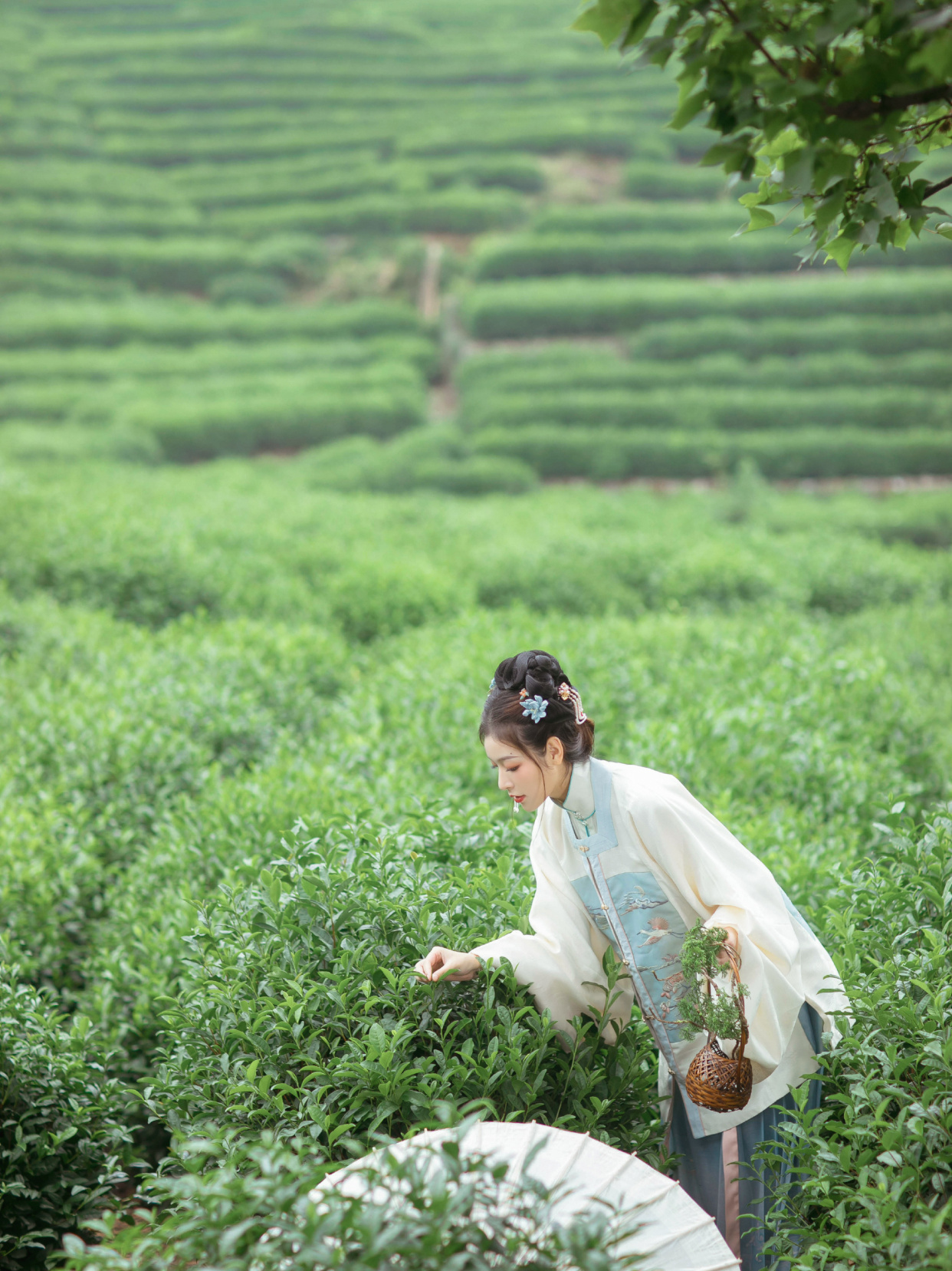 汉服版的"茶艺风"有多美?清纯又可爱,一点也不令人讨厌